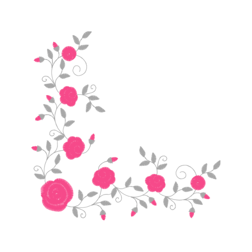 Garden Roses Flowers Garden Roses Flowers