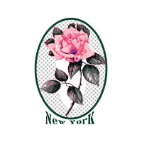 Garden Roses Flowers Garden Roses Flowers