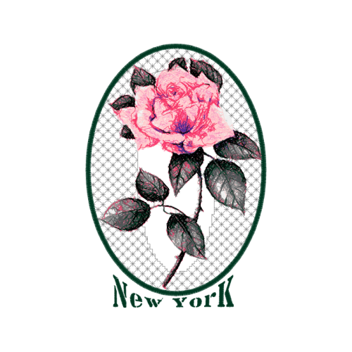 Garden Roses Flowers Garden Roses Flowers