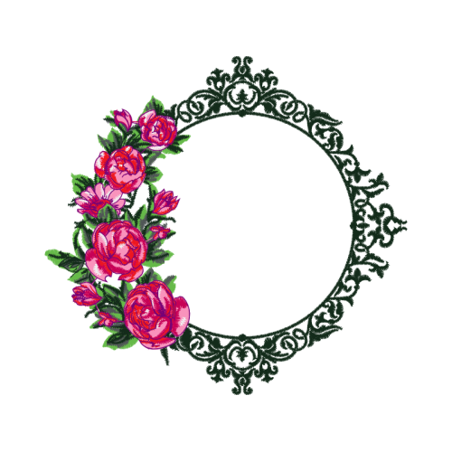 Garden Roses Flowers Garden Roses Flowers