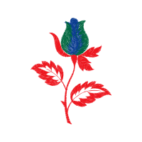 Garden Roses Flowers Garden Roses Flowers