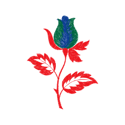 Garden Roses Flowers Garden Roses Flowers