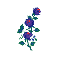 Garden Roses Flowers Garden Roses Flowers