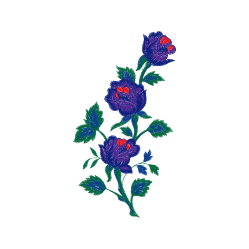 Garden Roses Flowers Garden Roses Flowers