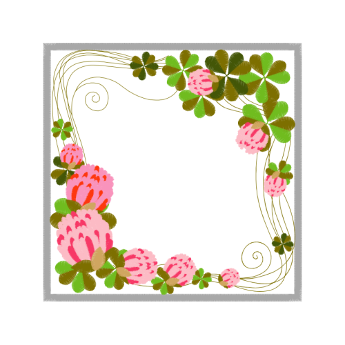 Garden Roses Flowers Garden Roses Flowers