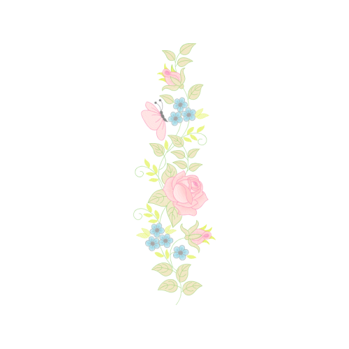 Garden Roses Flowers Garden Roses Flowers