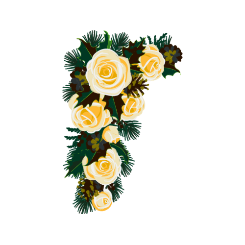 Garden Roses Flowers Garden Roses Flowers