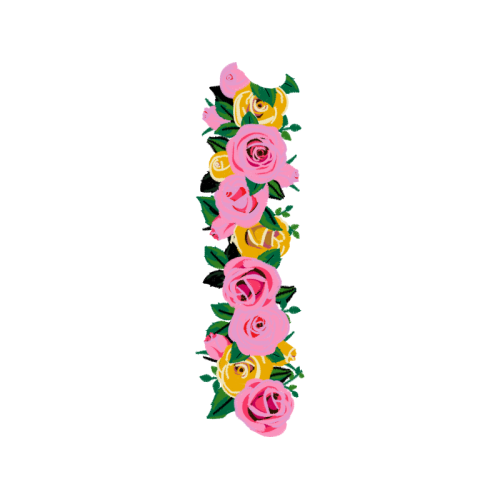 Garden Roses Flowers Garden Roses Flowers