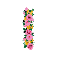 Garden Roses Flowers Garden Roses Flowers