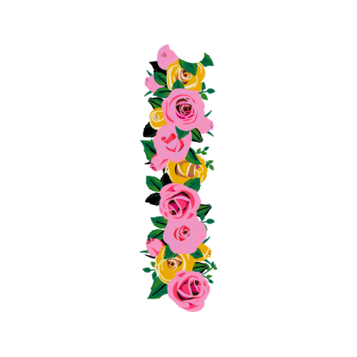 Garden Roses Flowers Garden Roses Flowers