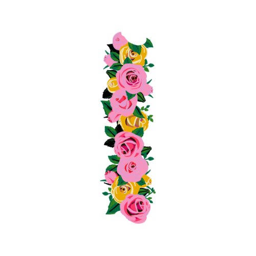 Garden Roses Flowers Garden Roses Flowers