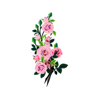 Garden Roses Flowers Garden Roses Flowers