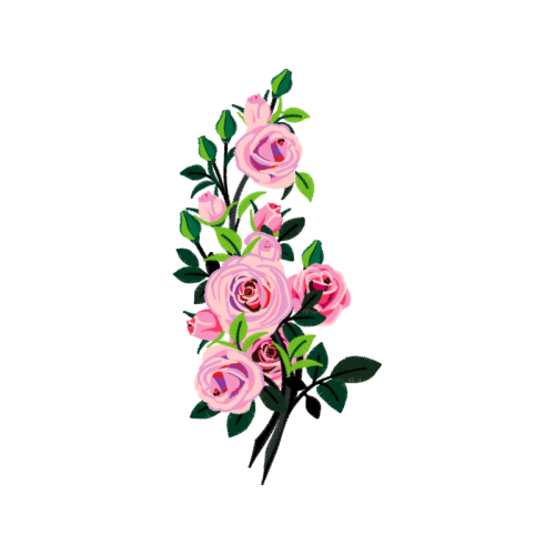 Garden Roses Flowers Garden Roses Flowers