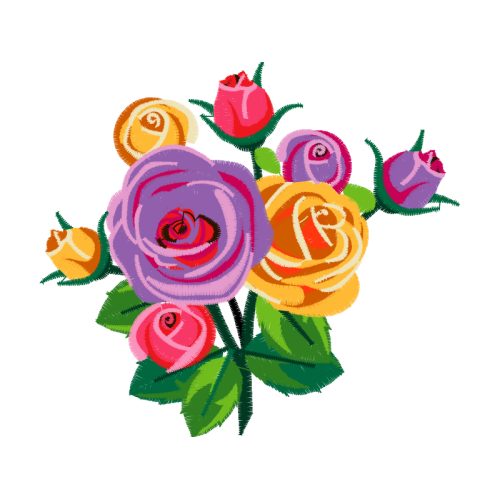 Garden Roses Flowers Garden Roses Flowers