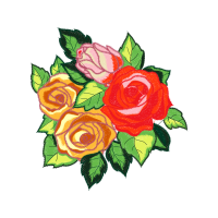 Garden Roses Flowers Garden Roses Flowers