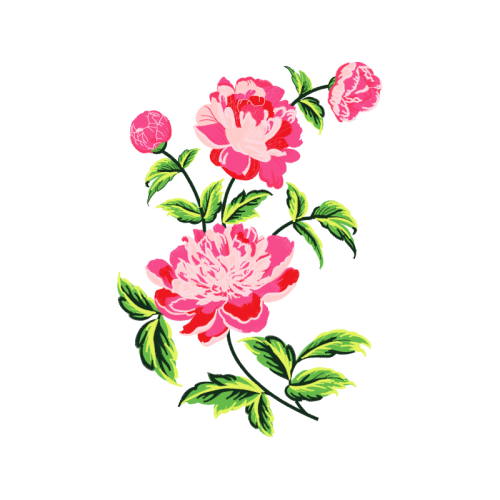 Garden Roses Flowers Garden Roses Flowers