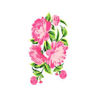 Garden Roses Flowers