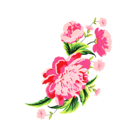 Garden Roses Flowers