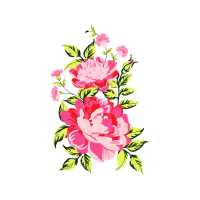 Garden Roses Flowers