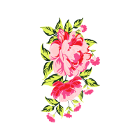 Garden Roses Flowers