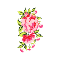 Garden Roses Flowers