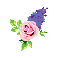 Garden Roses Flowers