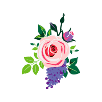 Garden Roses Flowers