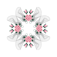 Garden Roses Flowers Garden Roses Flowers