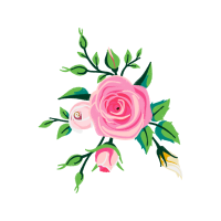 Garden Roses Flowers