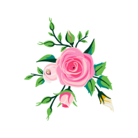 Garden Roses Flowers