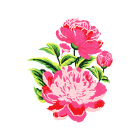 Garden Roses Flowers