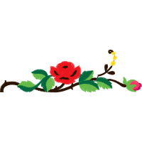 Garden Roses Flowers