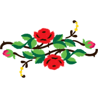 Garden Roses Flowers