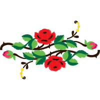 Garden Roses Flowers