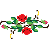 Garden Roses Flowers