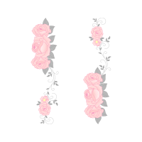 Garden Roses Flowers