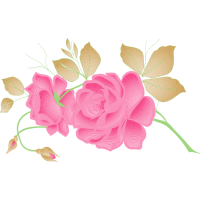 Garden Roses Flowers