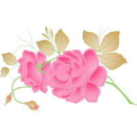 Garden Roses Flowers Garden Roses Flowers