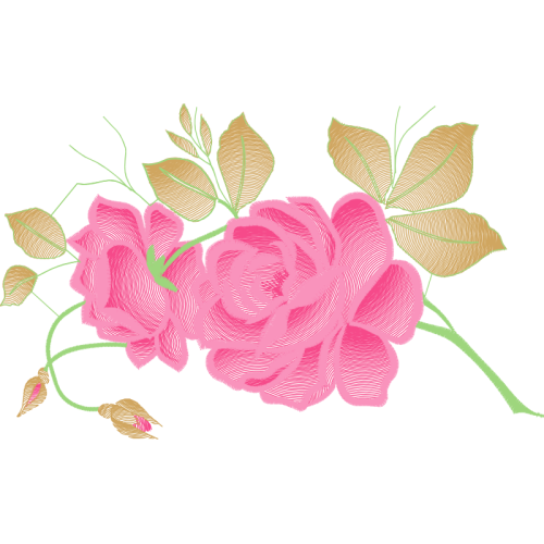 Garden Roses Flowers Garden Roses Flowers