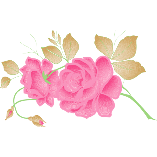 Garden Roses Flowers Garden Roses Flowers