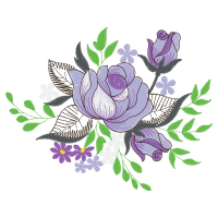 Garden Roses Flowers