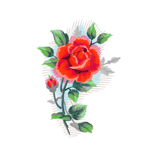 Garden Roses Flowers Garden Roses Flowers