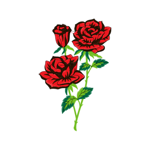 Garden Roses Flowers Garden Roses Flowers