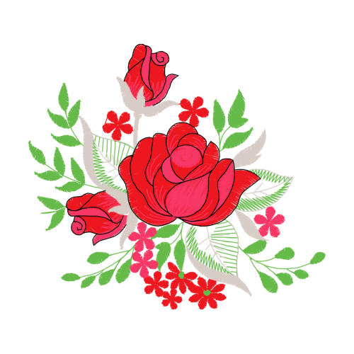 Garden Roses Flowers Garden Roses Flowers