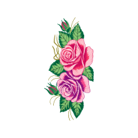 Garden Roses Flowers