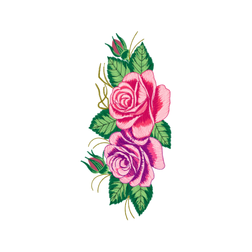 Garden Roses Flowers Garden Roses Flowers