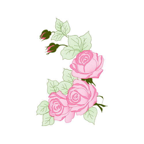 Garden Roses Flowers Garden Roses Flowers