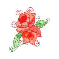 Garden Roses Flowers