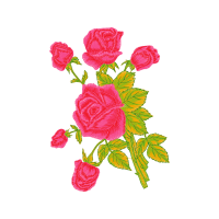 Garden Roses Flowers