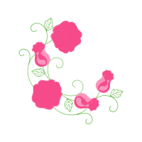 Garden Roses Flowers